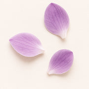 Orchistem™